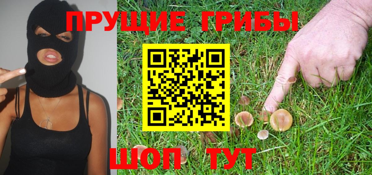 Лиски  Псилоцибиновые грибы GOLDEN TEACHER  Вход с VPN 